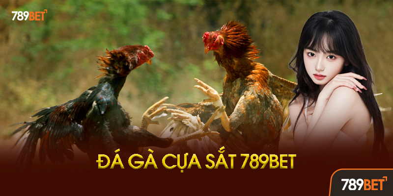 Đá Gà Cựa Sắt 789BET - Kịch Tính Đỉnh Cao, Cược Mạnh Ăn Lớn! 1 Đá Gà Cựa Sắt Là Gì? Khác Gì Với Đá Gà Thường?