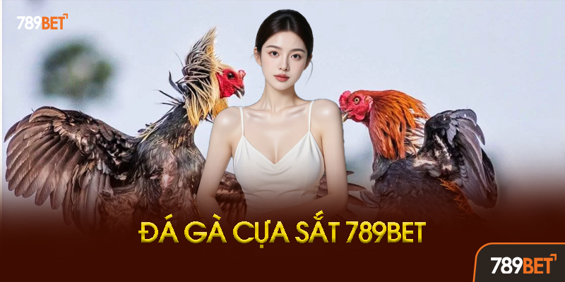 Đá Gà Cựa Sắt 789BET - Kịch Tính Đỉnh Cao, Cược Mạnh Ăn Lớn! 2 Các Loại Kèo Đá Gà Cựa Sắt Tại 789BET