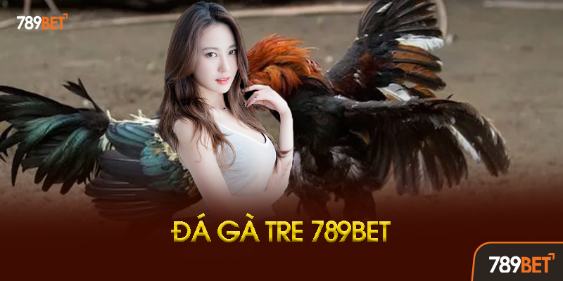 Đá Gà Tre 789BET - Truyền Thống Việt, Cược Thả Ga Ăn Tiền Thật! 3 Lịch Thi Đấu Đá Gà Tre 789BET