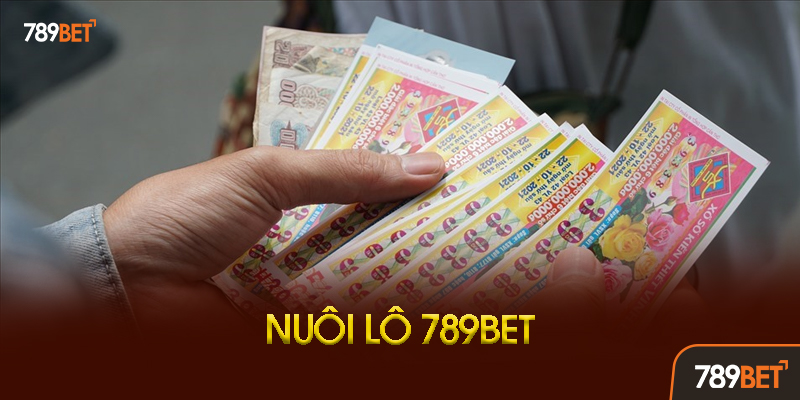 Nuôi Lô 789bet: Bí Quyết "Câu" Lô Gan Thành Triệu Đồng 3 Kinh Nghiệm Nuôi Lô Theo Từng Miền